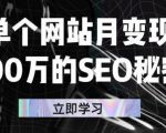 单个网站月变现100万的SEO秘密,百分百做出赚钱站点-闪越社