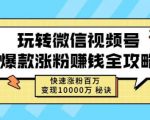 玩转微信视频号爆款涨粉赚钱全攻略，快速涨粉百万变现万元秘诀-闪越社