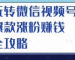 玩转微信视频号爆款涨粉赚钱全攻略,让你快速抓住流量风口,收获红利财富-闪越社