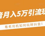 老古董·抖音月入5万引流玩法,看看老司机如何玩转抖音(附赠:抖音另类引流思路)-闪越社