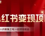 渣圈学苑·小红书虚拟资源变现项目,一起捞钱掘金价值1099元-闪越社