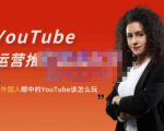 外国人眼中的YouTube该怎么玩?Elisa·YouTube运营推广实战技巧-闪越社