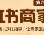 贾真-小红书商家营第6期商家版，21天带货陪跑课，让商家丢掉付流量-闪越社