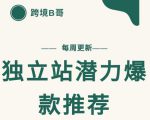 【跨境B哥】独立站潜力爆款选品推荐，测款出单率高达百分之80-闪越社