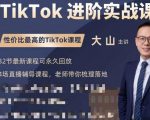 大山老师TikTok进阶实战课：账号详解，流量运营，实战变现，助力你成功出海-闪越社