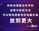 张sir账号流量增长课,告别海王流量,让你的流量更精准-闪越社