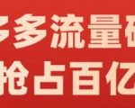 阿杰·拼多多流量破局:如何打黑标，爆款的思路，拼多多流量框架，快速抢占百亿流量-闪越社