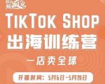 疯人院:TikTok Shop出海训练营（一店卖全球)，出海抢占全球新流量-闪越社