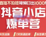 推易电商·2022年抖音小店爆单营，不直播、不拍短视频、日出1000单，暴力玩法-闪越社