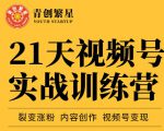 张萌21天视频号实战训练营，裂变涨粉、内容创作、视频号变现 价值298元-闪越社
