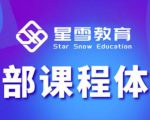 星雪教育淘系高级班，更全的运营提升方案，零基础由浅入深，店铺最新玩法-闪越社
