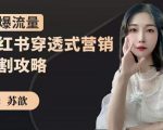 苏歆：小红书穿透式营销收割攻略，引爆流量，助你玩转小红书-闪越社