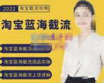 2022淘宝蓝海截流攻略,淘宝蓝海截流选品上货实操讲解-闪越社