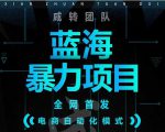 引流哥蓝海暴力躺赚项目:无需发圈无需引流无需售后,每单赚50-500(教程+线报群)-闪越社