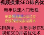 宋老师·短视频搜索SEO优化,教你10分钟创作一个短视频,三天排名上第一-闪越社
