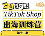 TikTokShop出海训练营（第十三期），打开全球流量新思维，出海抢占全球新流量，一店卖全球-闪越社