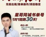 星哥同城教育书单号课程，无需出境简单操作项目稳定-闪越社