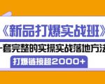 凌童《新品打爆实战班》,一套完整的实操实战落地方法，打爆链接超2000+（28节课)-闪越社