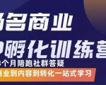 杨名商业IP孵化训练营，从商业到内容到转化一站式学 价值5980元-闪越社