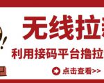 最新接码无限拉新项目，利用接码平台赚拉新平台差价，轻松日赚500+-闪越社