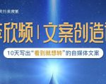 李欣频|文案创造课，0基础可报10天写出“看到就想转”的自媒体文案-闪越社