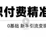 玩转知识付费项目精准引流，给你1套课多账号操作落地方案！-闪越社
