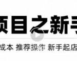 虚拟项目快速起店模式，0成本打造月入几万虚拟店铺！-闪越社