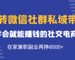玩转微信社群私域带货，学会就能赚钱的社交电商，在家兼职副业再挣8000+-闪越社