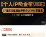 个人IP吸金密训班,打造高价值高效率的个人IP内容体系(价值12800元)-闪越社