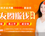 全网千万人气导师亲授：零基础/易上手的朋友圈赚钱攻略，让你轻松月入过万-闪越社