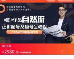 0粉0作品自然流正价起号及稳号全教程，专业自然流起号机构流程化教学（价值2980元）-闪越社