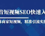 抖音短视频Seo搜索排名优化新手快速入门教程,实体商家短视频,精准引流实操课-闪越社