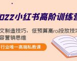 2022小红书高阶训练营：爆文制造技巧，低预算高roi投放技巧，内容营销思维-闪越社