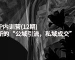 新媒体IP内训营(12期),一套全新的“公域引流,私域成交”IP打法,直接带走-闪越社