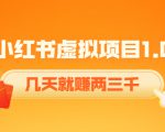 《小红书虚拟项目1.0》账号注册+养号+视频制作+引流+变现,几天就赚两三千-闪越社