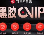 网易云音乐撸黑胶年卡及变现方法,收益可无限放大-闪越社