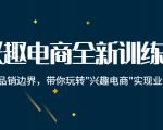 兴趣电商全新训练营:打破品销边界,带你玩转“兴趣电商“实现业务增长-闪越社