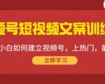 视频号短视频文案训练营：0基础小白如何建立视频号，上热门，能卖货！-闪越社
