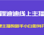 暴躁迪迪线上主播课，金牌主播教新手小白如何开播-闪越社