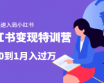 小红书变现特训营：带你快速入局小红书，从0到1月入过万-闪越社