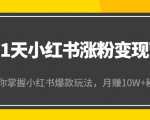 21天小红书涨粉变现营（第4期）：带你掌握小红书爆款玩法，月赚10W+秘密-闪越社