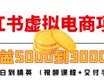 小红书虚拟电商项目：从小白到精英 月收益5000到30000 (视频课程+交付手册)-闪越社