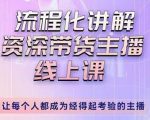 婉婉-主播拉新实操课,流程化讲解资深带货主播,让每个人都成为经得起考验的主播-闪越社