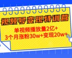 21天视频号变现特训营:单视频播放量2亿+3个月涨粉30w+变现20w+(第14期)-闪越社