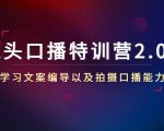 镜头口播特训营2.0版，学习文案编导以及拍摄口播能力（50节课时）-闪越社