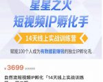 瑶瑶·自然流短视频IP孵化第二期，14天线上实战训练营，赋能100个人成为有数据能赚钱的独立IP孵化手-闪越社