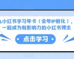 厦九九小红书学习年卡(全年IP孵化),沉浸式学习,一起成为有影响力的小红书博主-闪越社