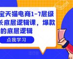 大圣淘宝天猫电商1-7层级盈利增长底层逻辑课，爆款的底层逻辑-闪越社