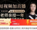 张越·短视频+直播,自然流三频共振起号实操课,短视频所有流量玩法讲解-闪越社