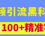 视频引流黑科技玩法,不花钱推广,视频播放量达到100万+,每日100+精准客源-闪越社
